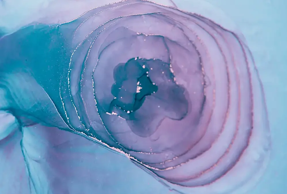 Dott.ssa Valeria Piro - blog - Il Prolasso